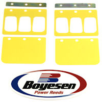 RX125 Boyesen Reed Valves 