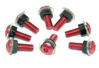 Aprilia RS125 Screen Bolts 