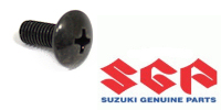 Suzuki RGV 250 Power Valve Retaining Screw