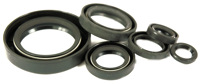 Honda CR250 Engine oil seal kit 1984-1987