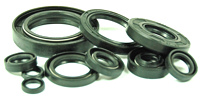 Yamaha YZ250 Engine Oil Seal Kit 1999-2000