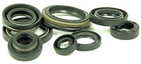 Suzuki RM125 Engine Oil seal kit 1998-2000