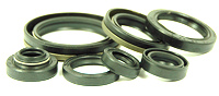 Suzuki RM250 Engine Oil Seal Kit 1996-2002