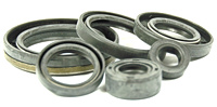 Suzuki RM250 Engine Oil Seal Kit 1987-1988