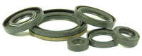 Suzuki RM250 Engine Oil Seal Kit 1994-1995