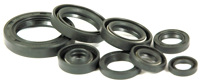 Honda CR125 Engine Oil Seal Kit 2003