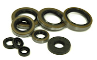 Kawasaki KDX200 Engine Oil Seal Kit 1995-2006