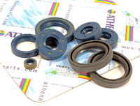 Aprilia AF1 125 Sintesi Rotax 123 Engine Oil Seal Kit 