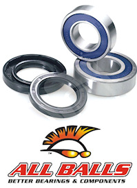 Honda CR80 Rear Wheel Bearing & Seal Kit 