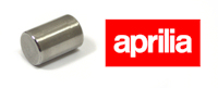 Aprilia RS125 Crank Case Dowel