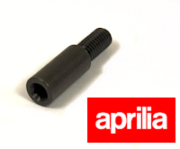 Aprilia RS125 Brake and Clutch Lever Bolt 2006 Onwards