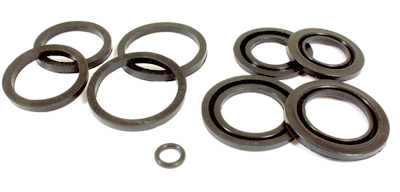 Aprilia RS125 Front Brake Caliper Seal Kit 1992-2005