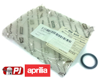 Aprilia RS125 Swing Arm O-Ring 