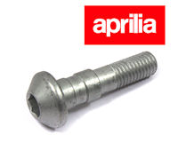 Aprilia RS125 Brake Lever Bolt 