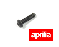 Aprilia RS125 Fairing Bush Inner Screw