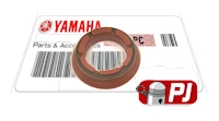 Yamaha DT125R Power Valve Seal  