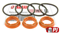 Yamaha TDR 250  Power Valve Service Kit 