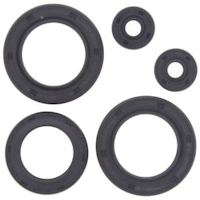 Suzuki LT50 Engine Oil Seal Kit 